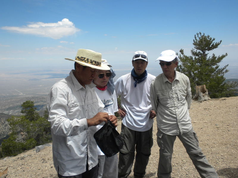 badenpowell710 019.jpg